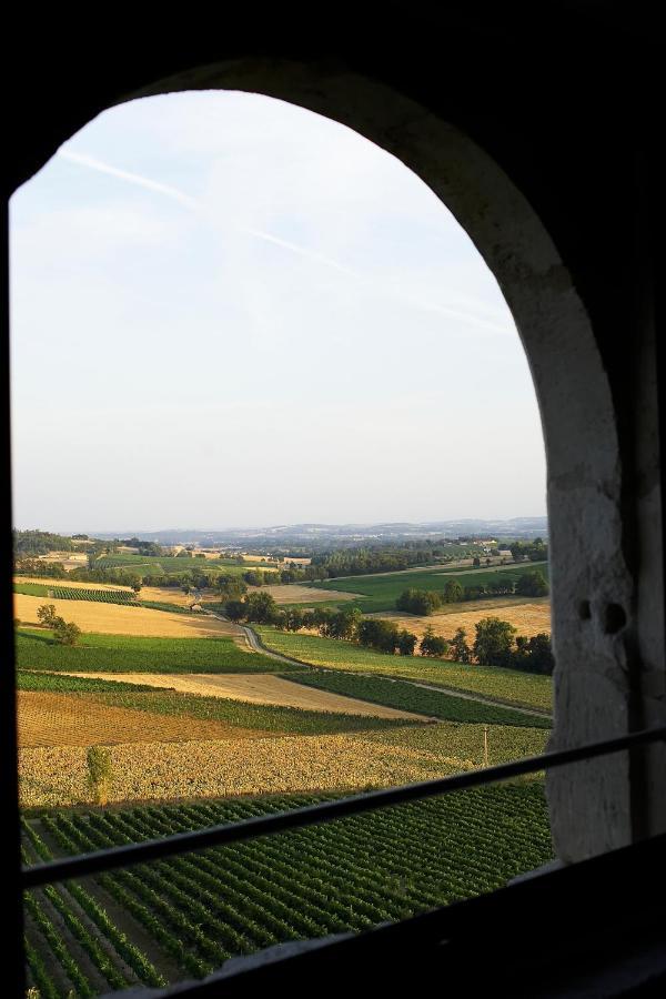 Chateau De Salettes Cahuzac-sur-Vère Zewnętrze zdjęcie