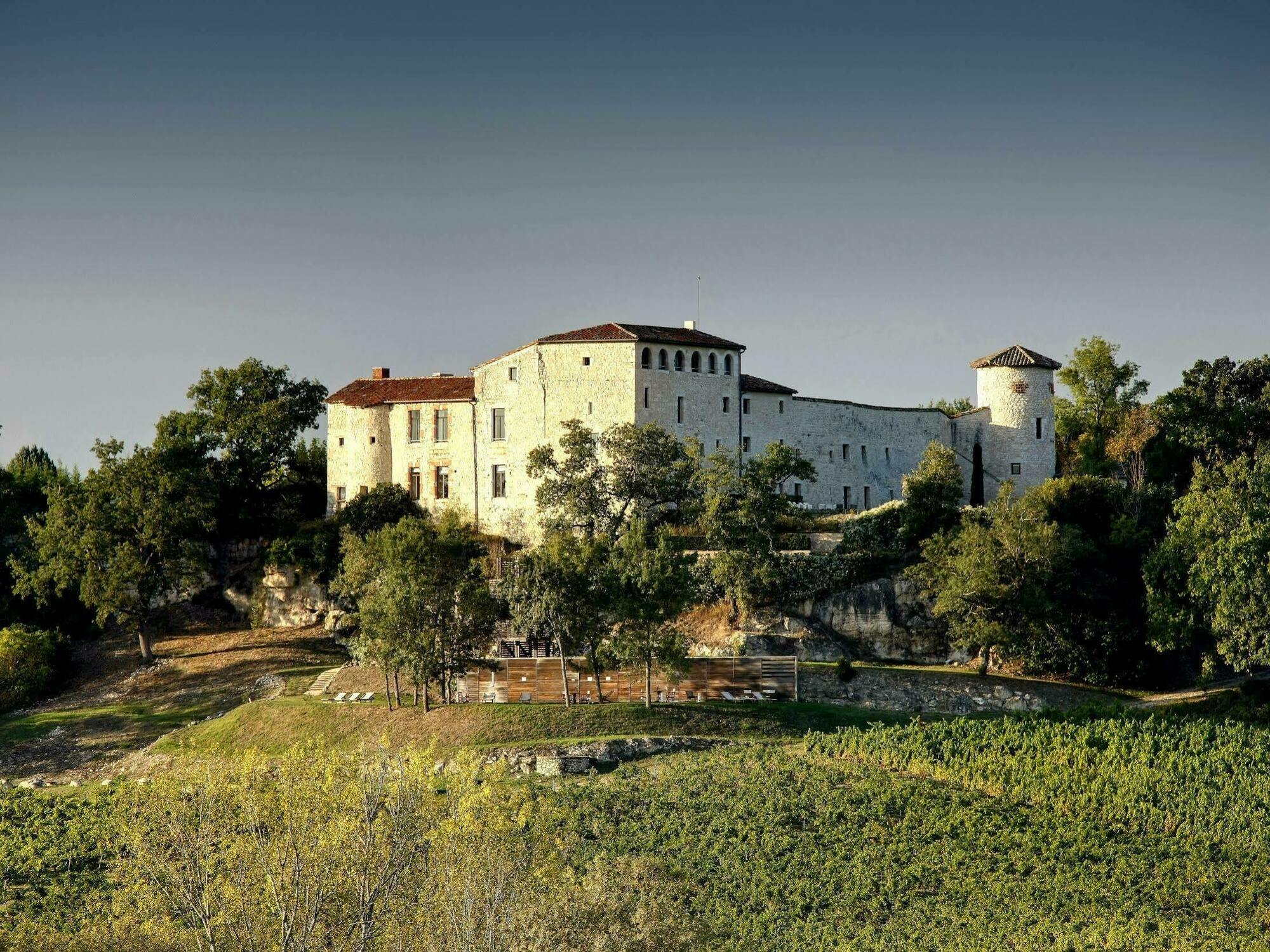 Chateau De Salettes Cahuzac-sur-Vère Zewnętrze zdjęcie